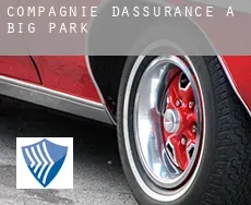 Compagnie d'assurance à  Big Park