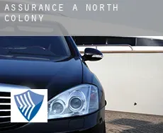 Assurance à  North Colony