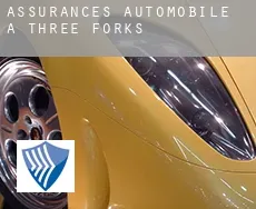 Assurances automobile à Three Forks