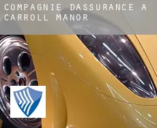 Compagnie d'assurance à  Carroll Manor