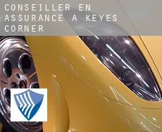 Conseiller en assurance à  Keyes Corner