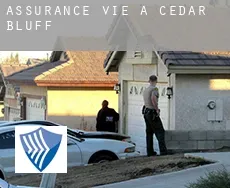 Assurance vie à  Cedar Bluff
