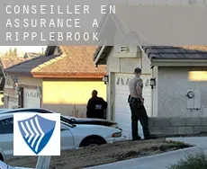 Conseiller en assurance à  Ripplebrook