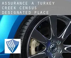 Assurance à  Turkey Creek