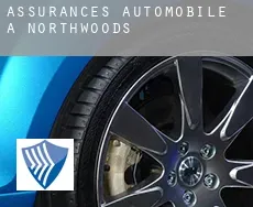 Assurances automobile à  Northwoods
