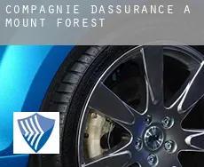 Compagnie d'assurance à Mount Forest
