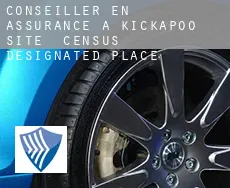 Conseiller en assurance à  Kickapoo Site 1