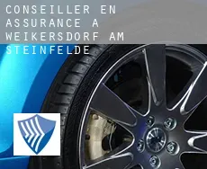 Conseiller en assurance à Weikersdorf am Steinfelde