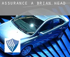 Assurance à  Brian Head