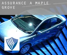 Assurance à  Maple Grove