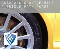 Assurances automobile à  Bridle Path Acres