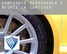 Compagnie d'assurance à  Mesnil-la-Comtesse