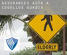 Assurances auto à  Cogollos de Guadix