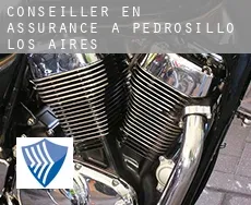 Conseiller en assurance à  Pedrosillo de los Aires