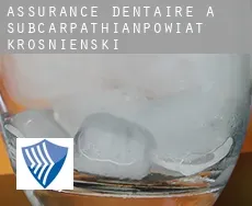 Assurance dentaire à Powiat krośnieński (Subcarpathian Voivodeship)