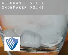 Assurance vie à  Shoemaker Point