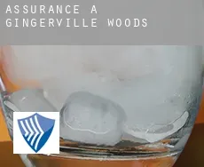 Assurance à  Gingerville Woods