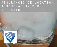 Assurances de location à  Schönau an der Triesting