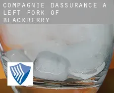 Compagnie d'assurance à  Left Fork of Blackberry