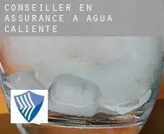 Conseiller en assurance à  Agua Caliente