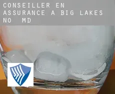 Conseiller en assurance à  Big Lakes M.District