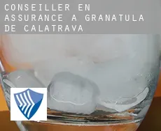 Conseiller en assurance à  Granátula de Calatrava