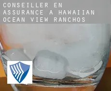 Conseiller en assurance à  Hawaiian Ocean View Ranchos