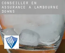 Conseiller en assurance à  Lambourne Downs