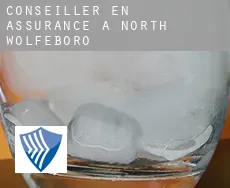 Conseiller en assurance à  North Wolfeboro