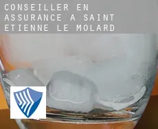 Conseiller en assurance à  Saint-Étienne-le-Molard