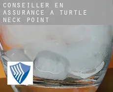 Conseiller en assurance à  Turtle Neck Point