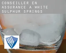 Conseiller en assurance à  White Sulphur Springs