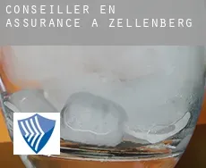 Conseiller en assurance à  Zellenberg