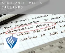 Assurance vie à  Callands