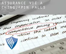 Assurance vie à  Chinquapin Falls