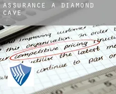 Assurance à  Diamond Cave