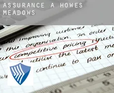 Assurance à Howes Meadows