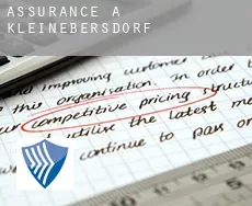 Assurance à  Kleinebersdorf