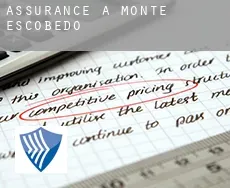 Assurance à  Monte Escobedo