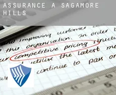 Assurance à  Sagamore Hills