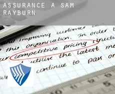 Assurance à  Sam Rayburn
