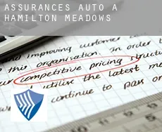 Assurances auto à  Hamilton Meadows