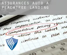 Assurances auto à  Peachtree Landing