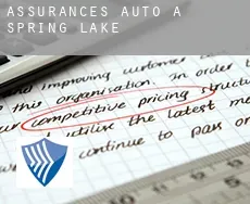 Assurances auto à  Spring Lake