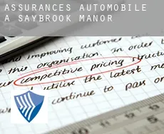 Assurances automobile à  Saybrook Manor