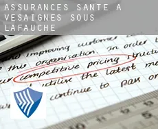 Assurances santé à Vesaignes-sous-Lafauche