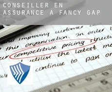 Conseiller en assurance à  Fancy Gap