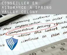 Conseiller en assurance à  Spring Valley Colony