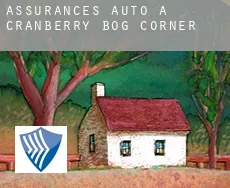Assurances auto à  Cranberry Bog Corner