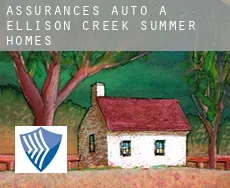 Assurances auto à  Ellison Creek Summer Homes